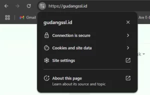 Website sudah kondusif dan memasang HTTPS - Cara mengatasi Your Connection is Not Secure