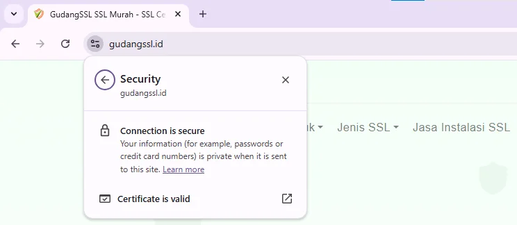 Apa yang Akan Terjadi Jika Situs Web Tidak Memiliki SSL?